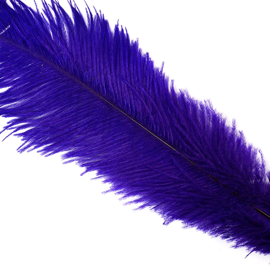 Large Ostrich Feathers - 18-24" Spads - Regal