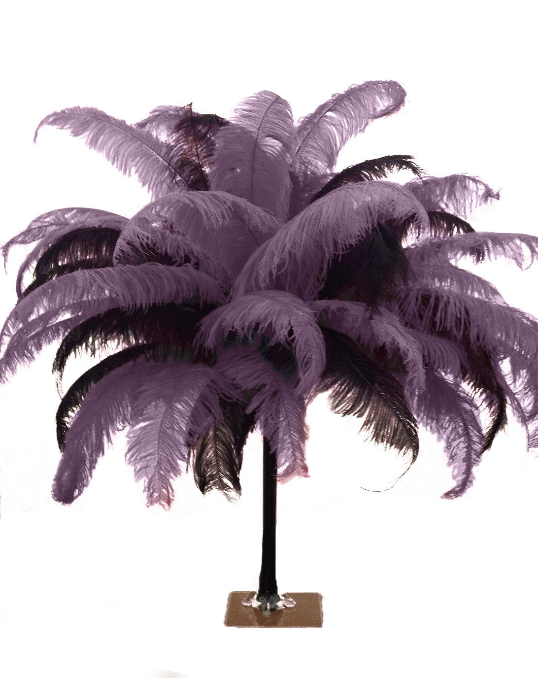 Large Ostrich Feathers - 18-24" Spads - Amethyst