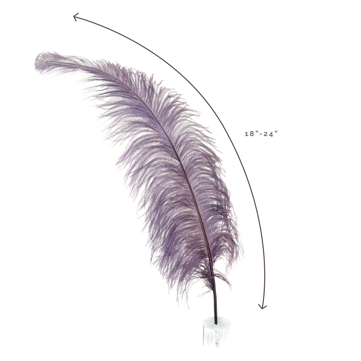 Large Ostrich Feathers - 18-24" Spads - Amethyst