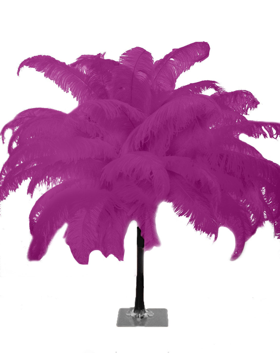 Large Ostrich Feathers - 18-24" Spads - Purple