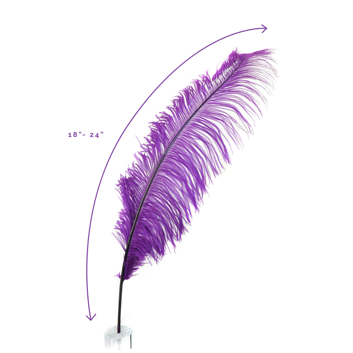 Large Ostrich Feathers - 18-24" Spads - Purple