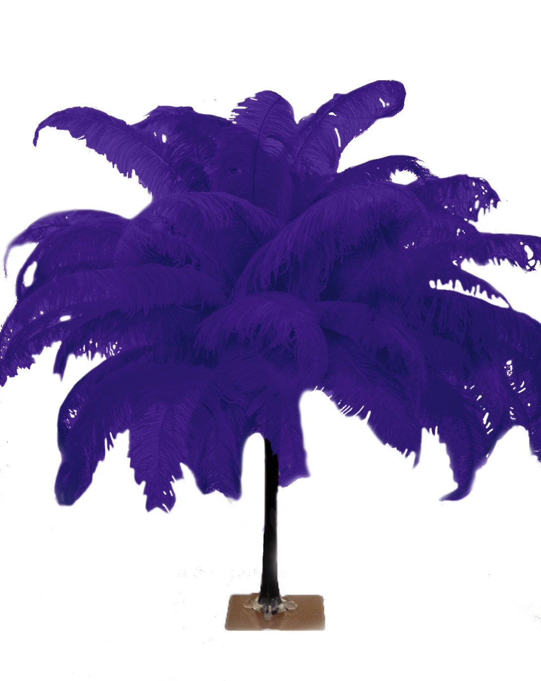Large Ostrich Feathers - 18-24" Spads - Regal