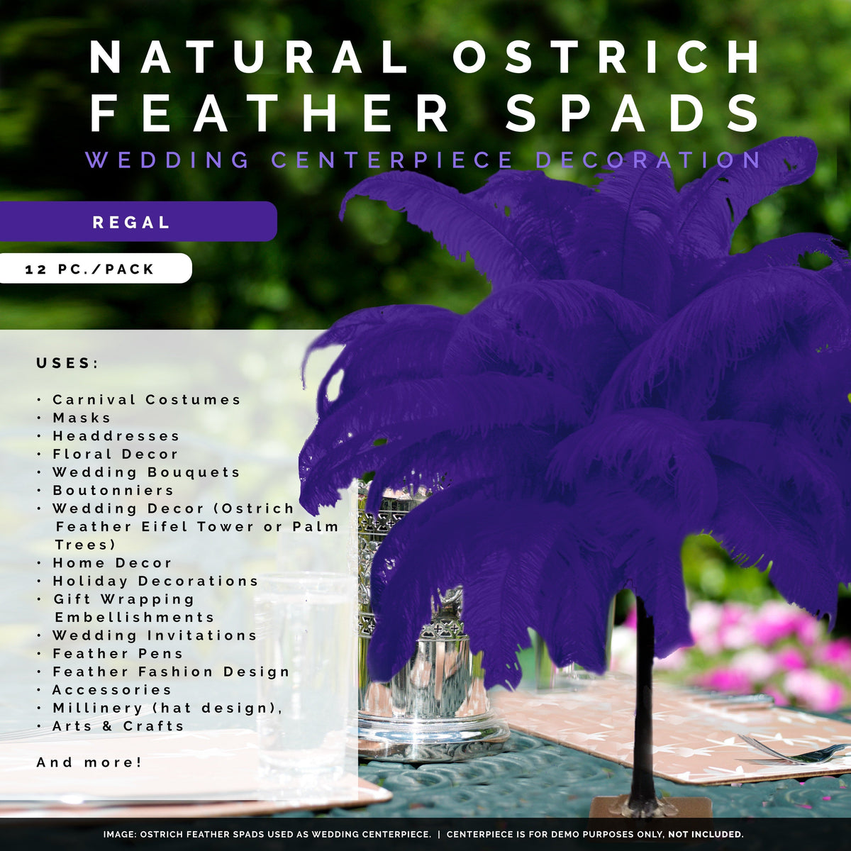 Large Ostrich Feathers - 18-24" Spads - Regal
