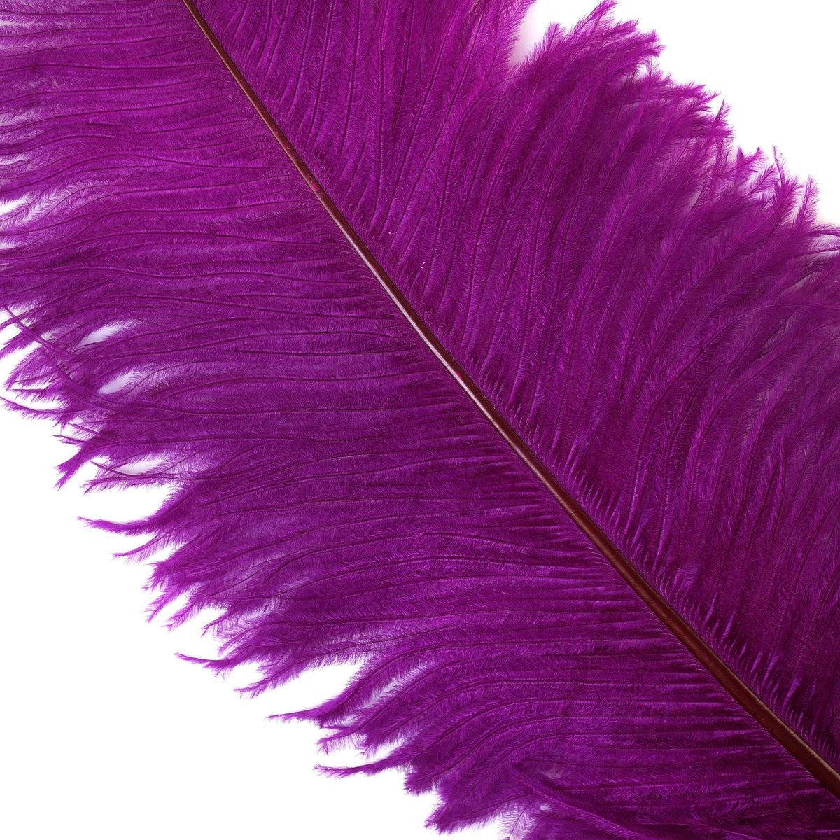 Large Ostrich Feathers - 18-24" Spads - Very Berry
