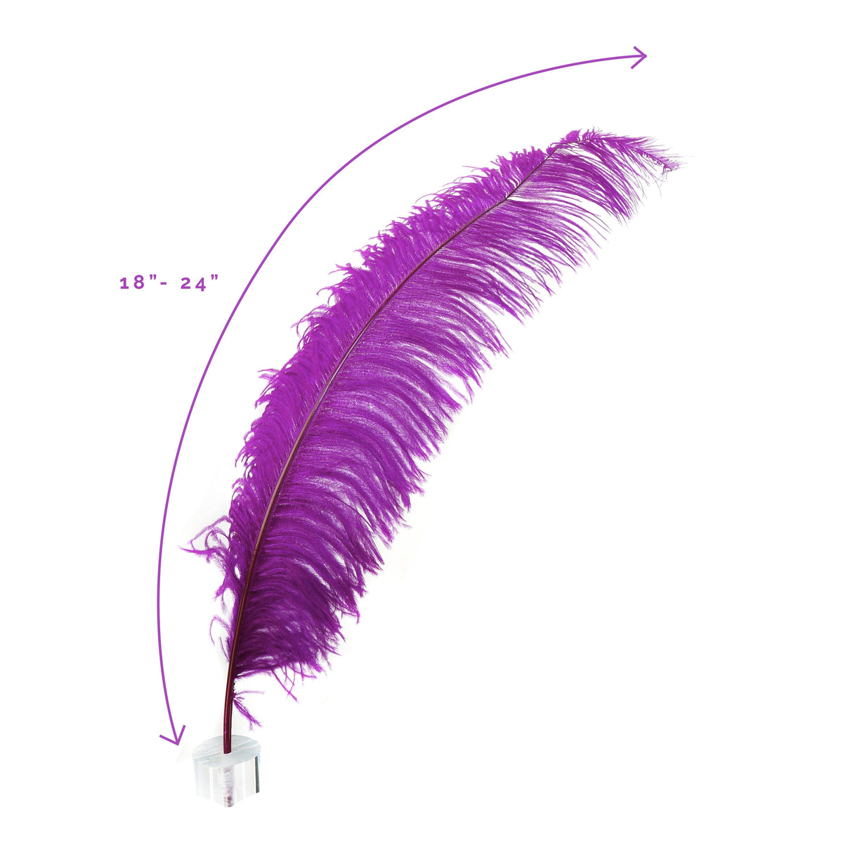 Large Ostrich Feathers - 18-24" Spads - Very Berry