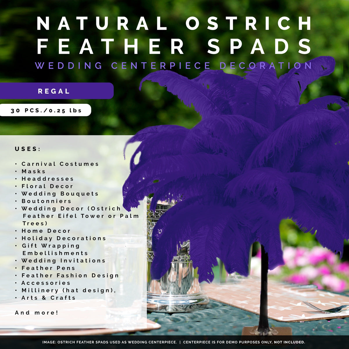 Large Ostrich Feathers - 18-24" Spads - Regal