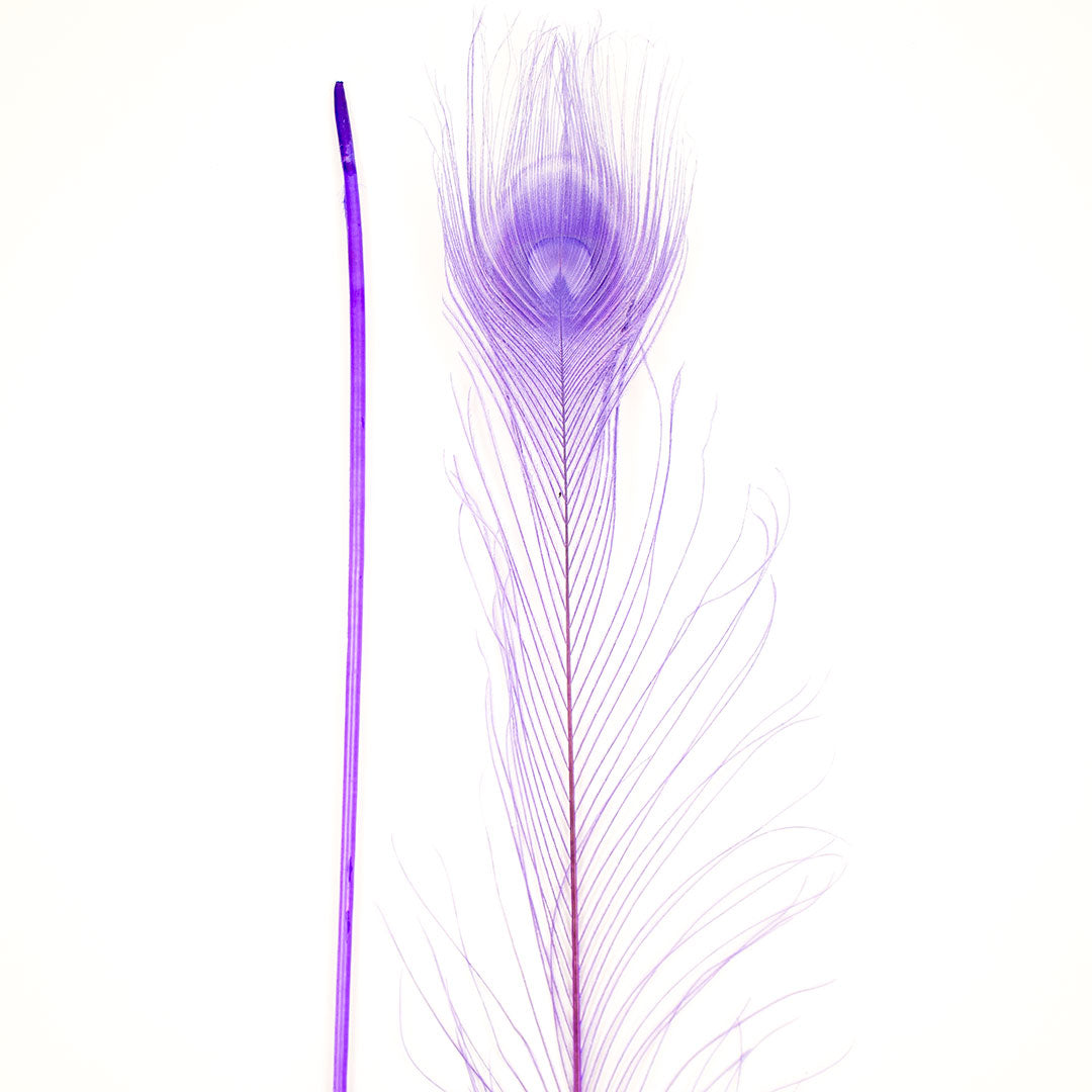 Peacock Feathers | 25-40" Tail Eyes | Fluorescent Lilac
