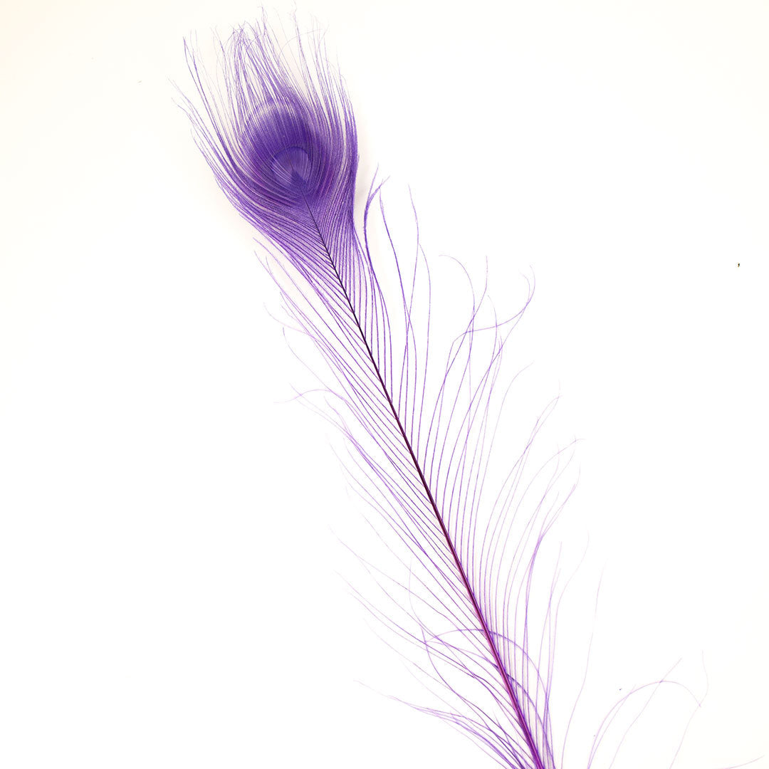 Peacock Feathers | 25-40" Tail Eyes | Fluorescent Lilac