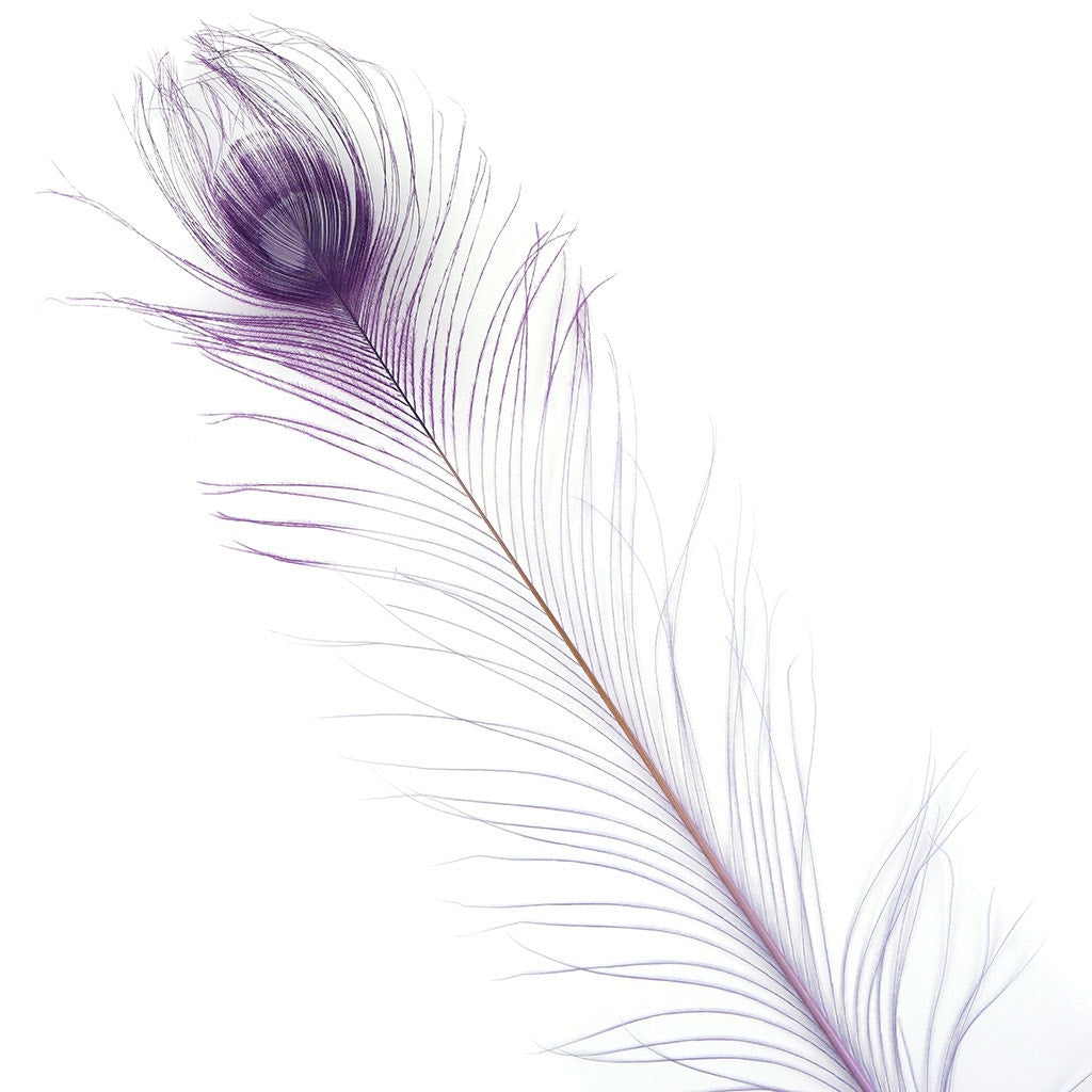 Peacock Eyes Bleached/Dyed & Tipped Feathers - 25-40 Inch - 10 PCS - Orchid - Purple