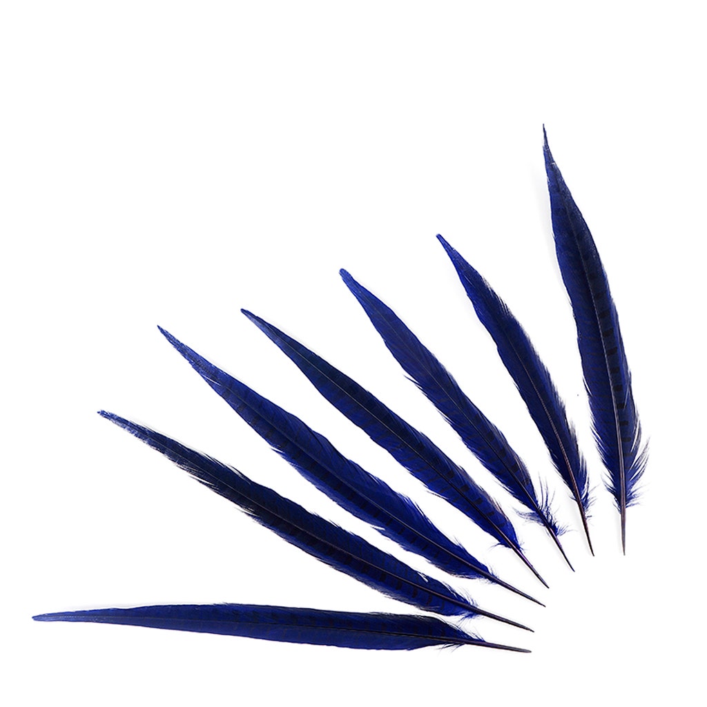 Bulk Assorted Pheasant Tails Dyed - Regal
