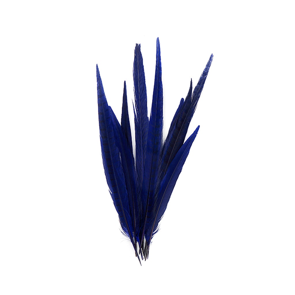 Bulk Assorted Pheasant Tails Dyed - Regal