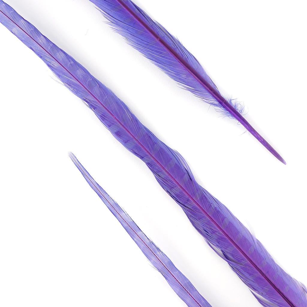Ringneck Pheasant Tails Bleached & Dyed Fl Lilac