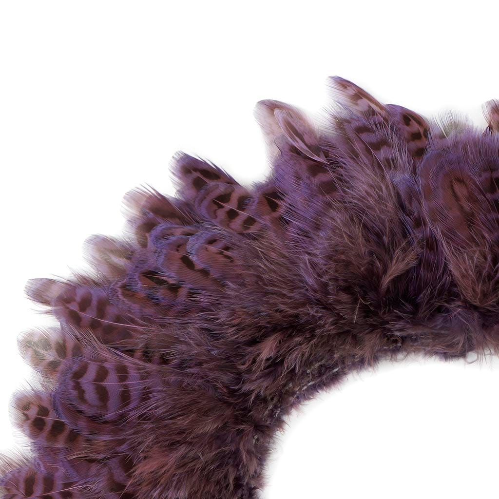 Ringneck Pheasant Plumage 1 YD Lavender
