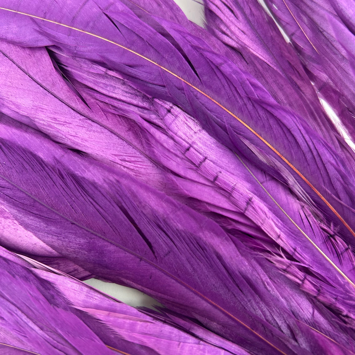 ROOSTER COQUE TAIL FEATHERS BLEACH DYED 7-10” - 25 PC/PKG - Purple