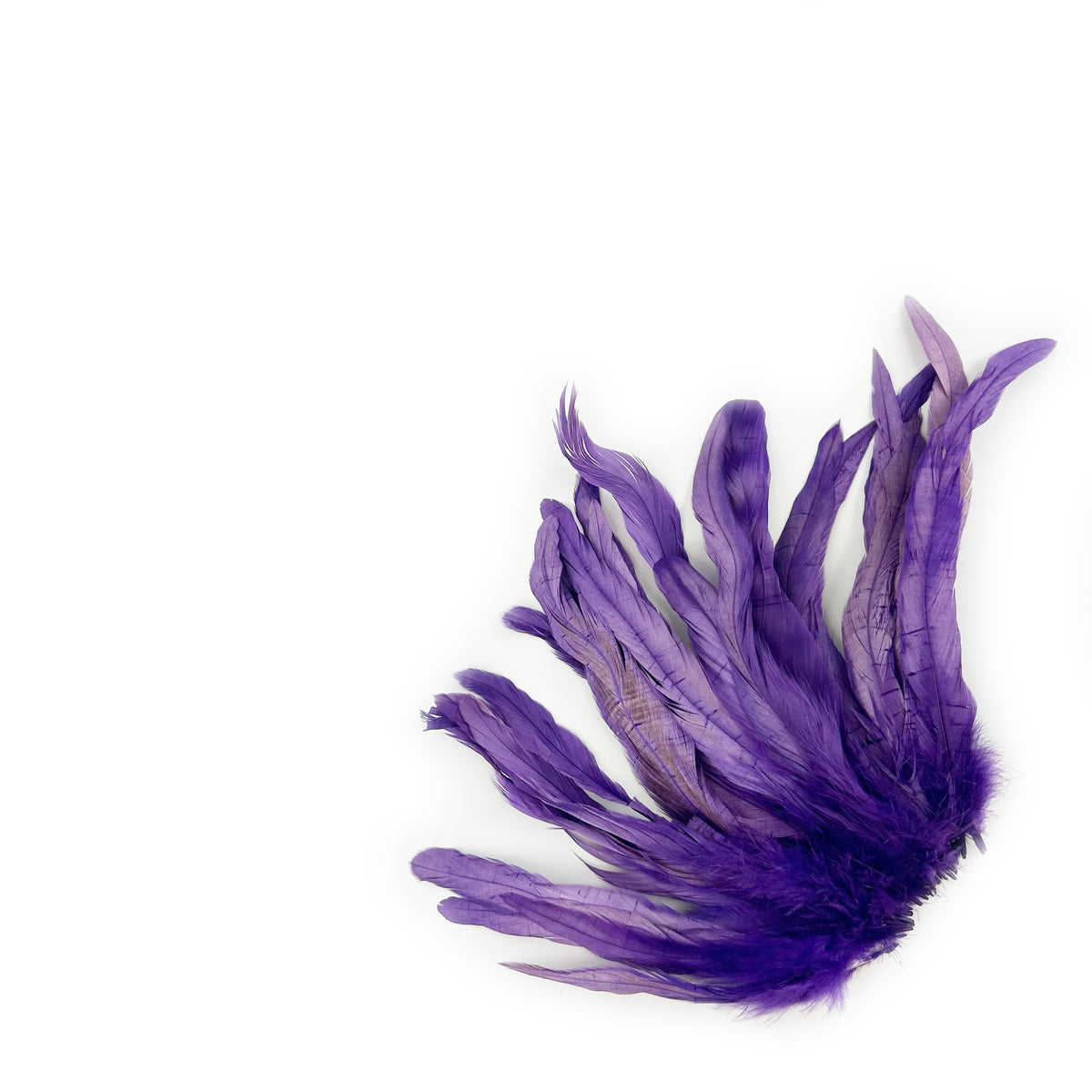 ROOSTER COQUE TAIL FEATHERS BLEACH DYED 7-10” - 25 PC/PKG - Regal