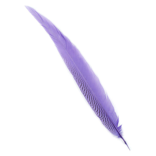 Silver Pheasant Tail Feathers Dyed Lavender