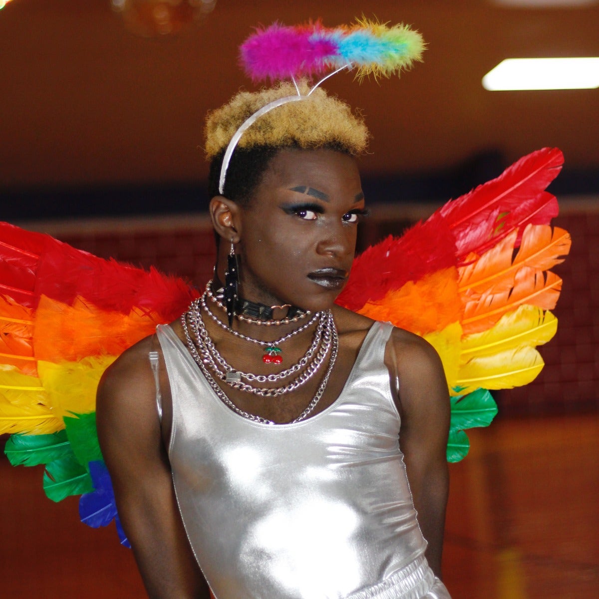Rainbow Feather Wings