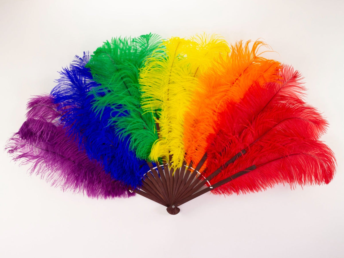Rainbow Pride Fan