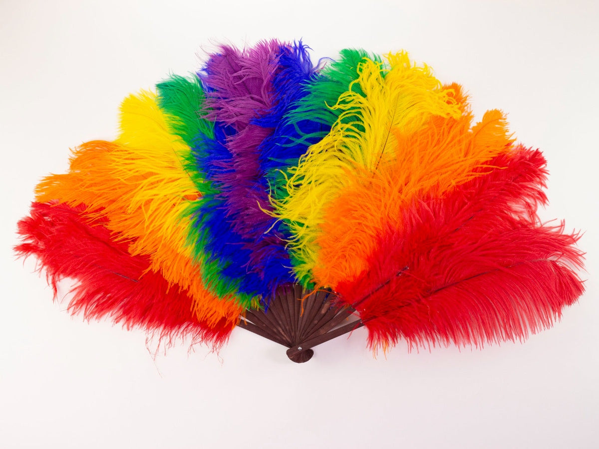 Double Rainbow Pride Fan