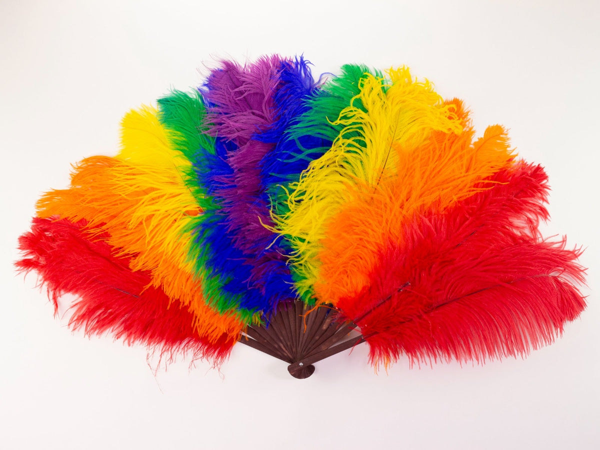 Double Rainbow Pride Fan