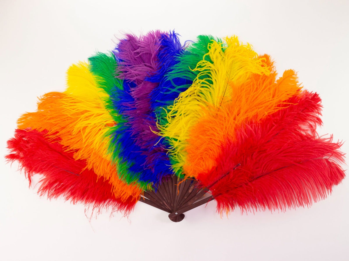 Double Rainbow Pride Fan