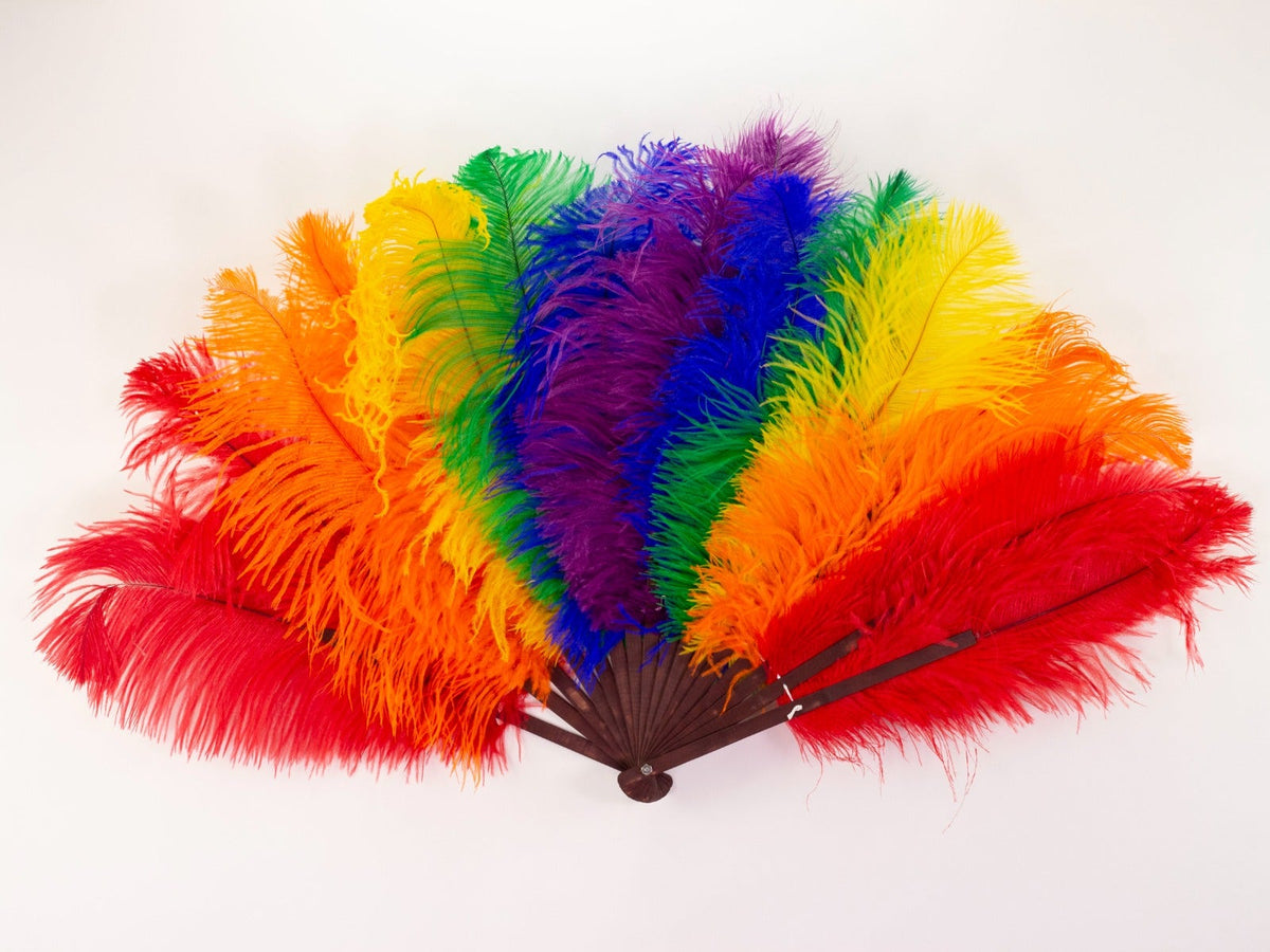 Double Rainbow Pride Fan