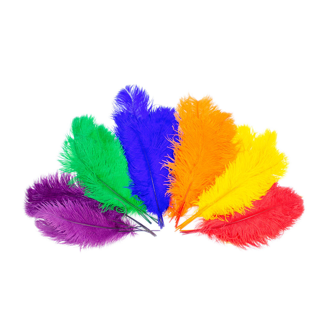Ostrich Feathers - 16-18" Tail Feathers - Rainbow