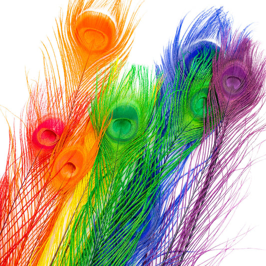 Rainbow Peacock Eye Feathers 25-40"- 12 pcs