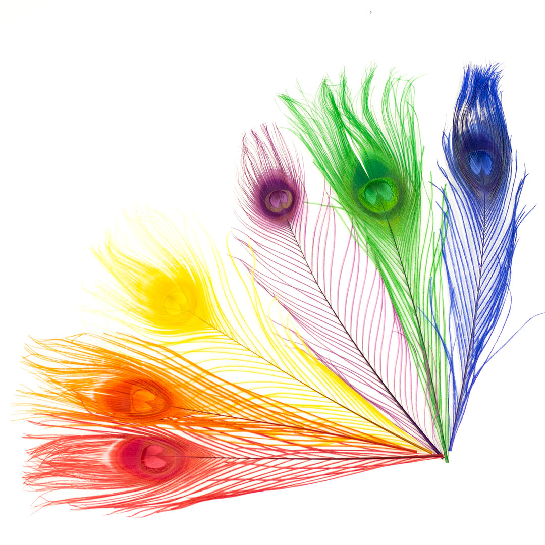 B470BM-12--RAINBOW