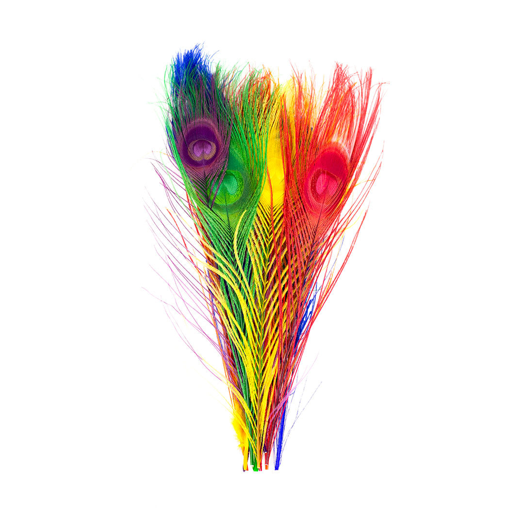 B470BM-12--RAINBOW