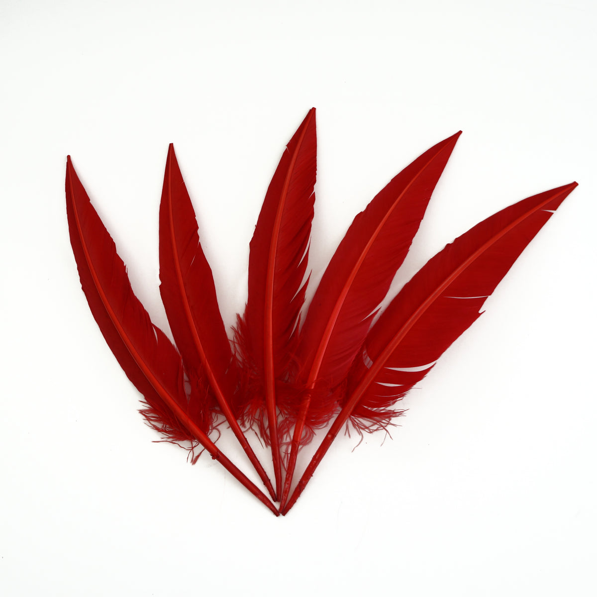 Red Dagger Turkey Quill Feathers 9-12"