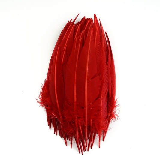 Red Dagger Turkey Quill Feathers 9-12"