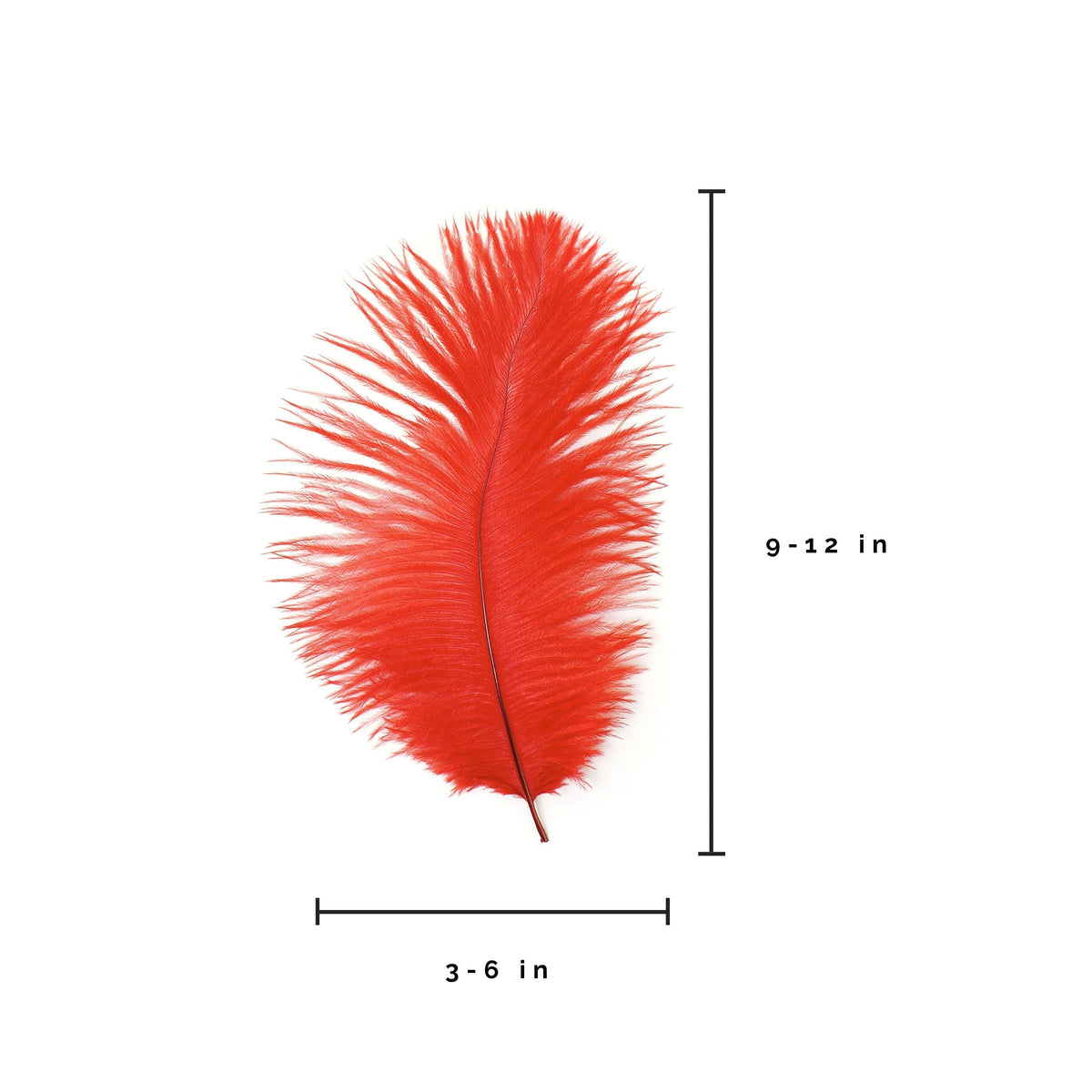 Ostrich Feathers 9-12" Drabs -  Red