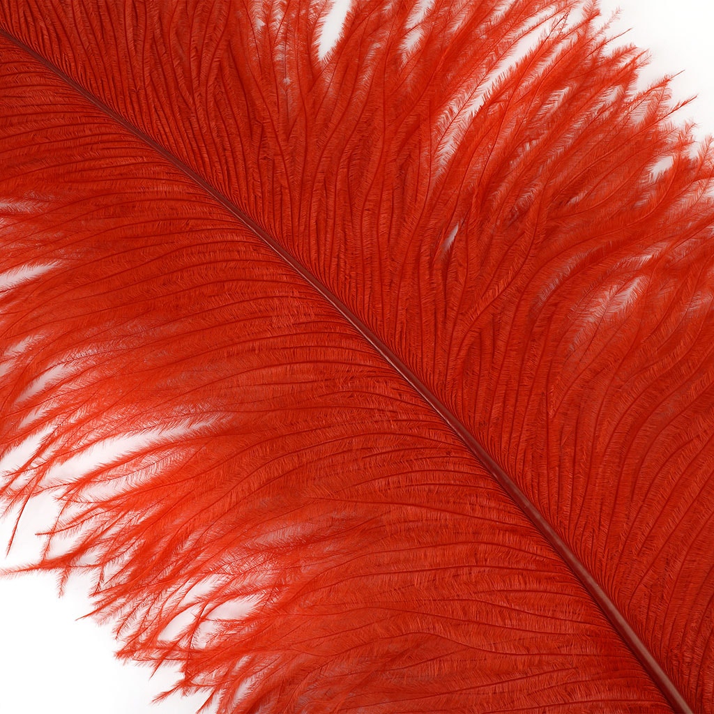 Large Ostrich Feathers - 20-25" Prime Femina Plumes - Red
