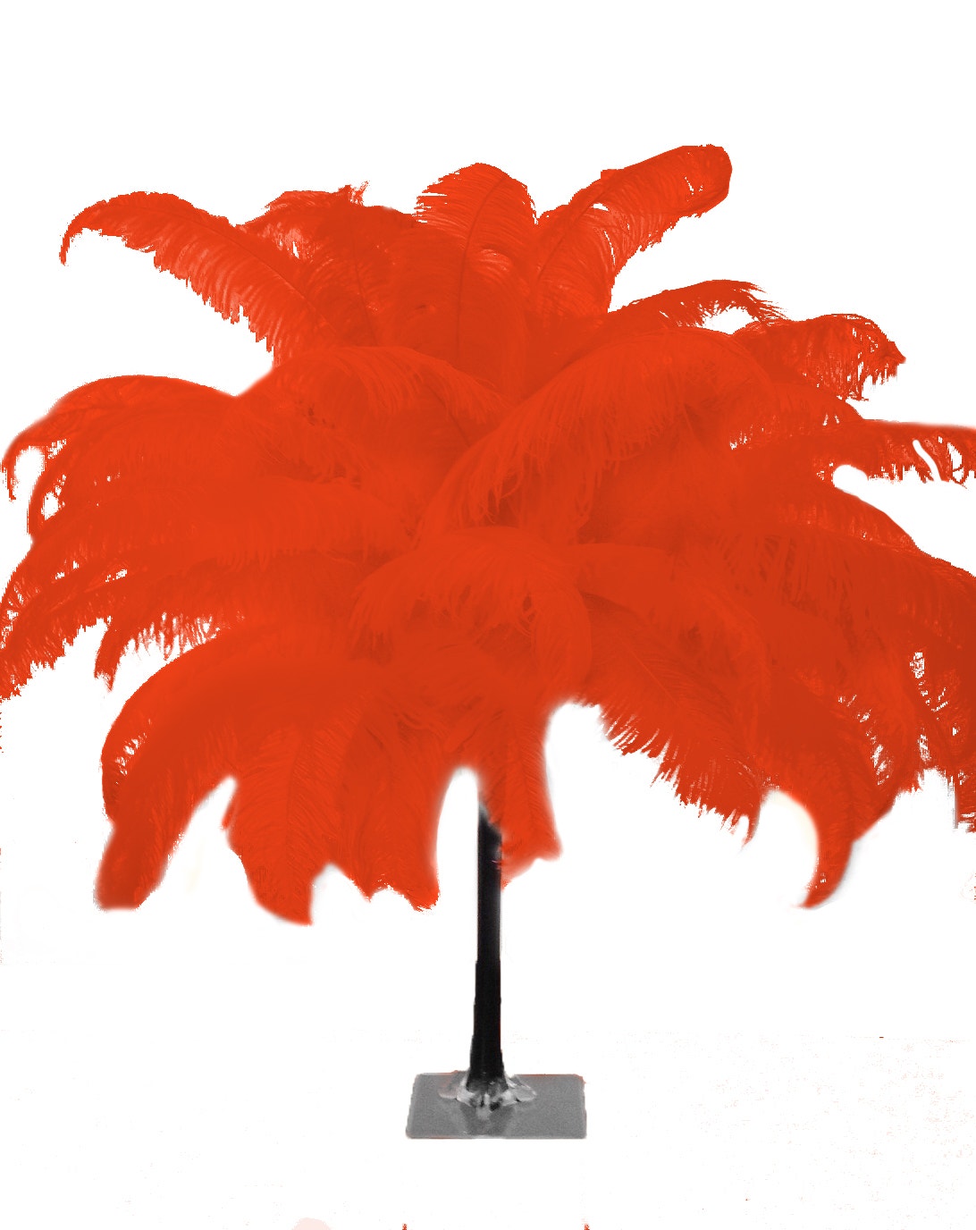 Large Ostrich Feathers - 18-24" Spads - Red