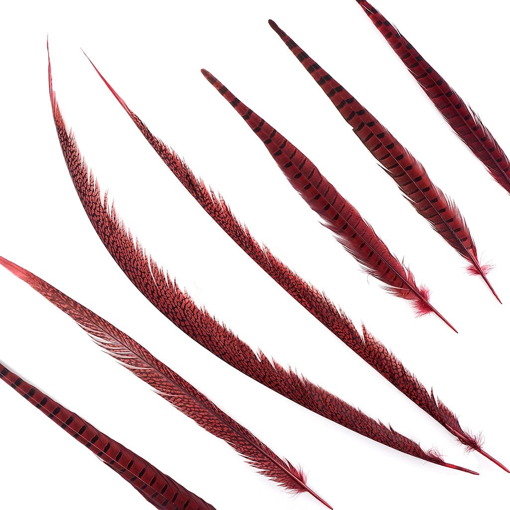 Pheasant Tails Assorted Dyed - Red