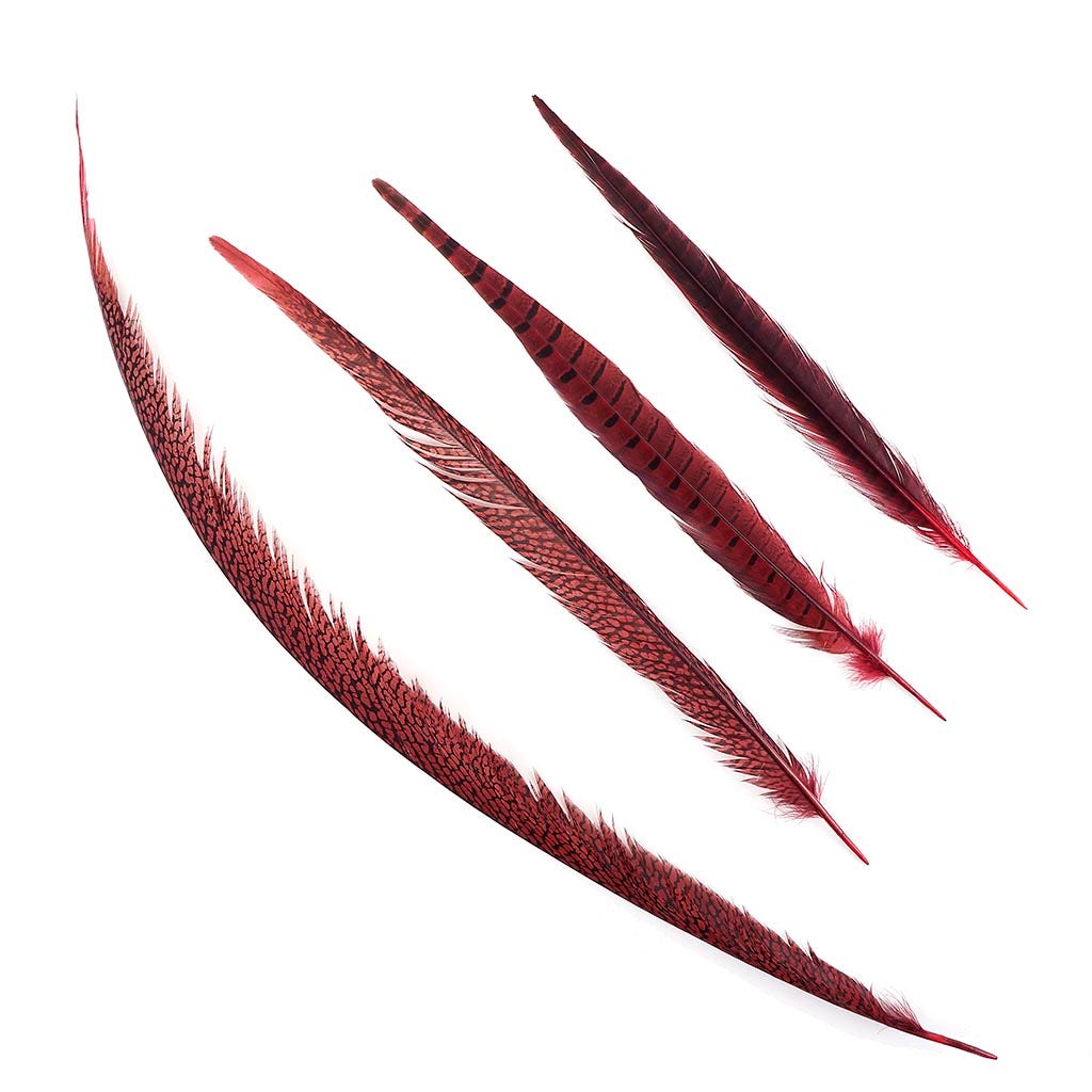 Pheasant Tails Assorted Dyed - Red