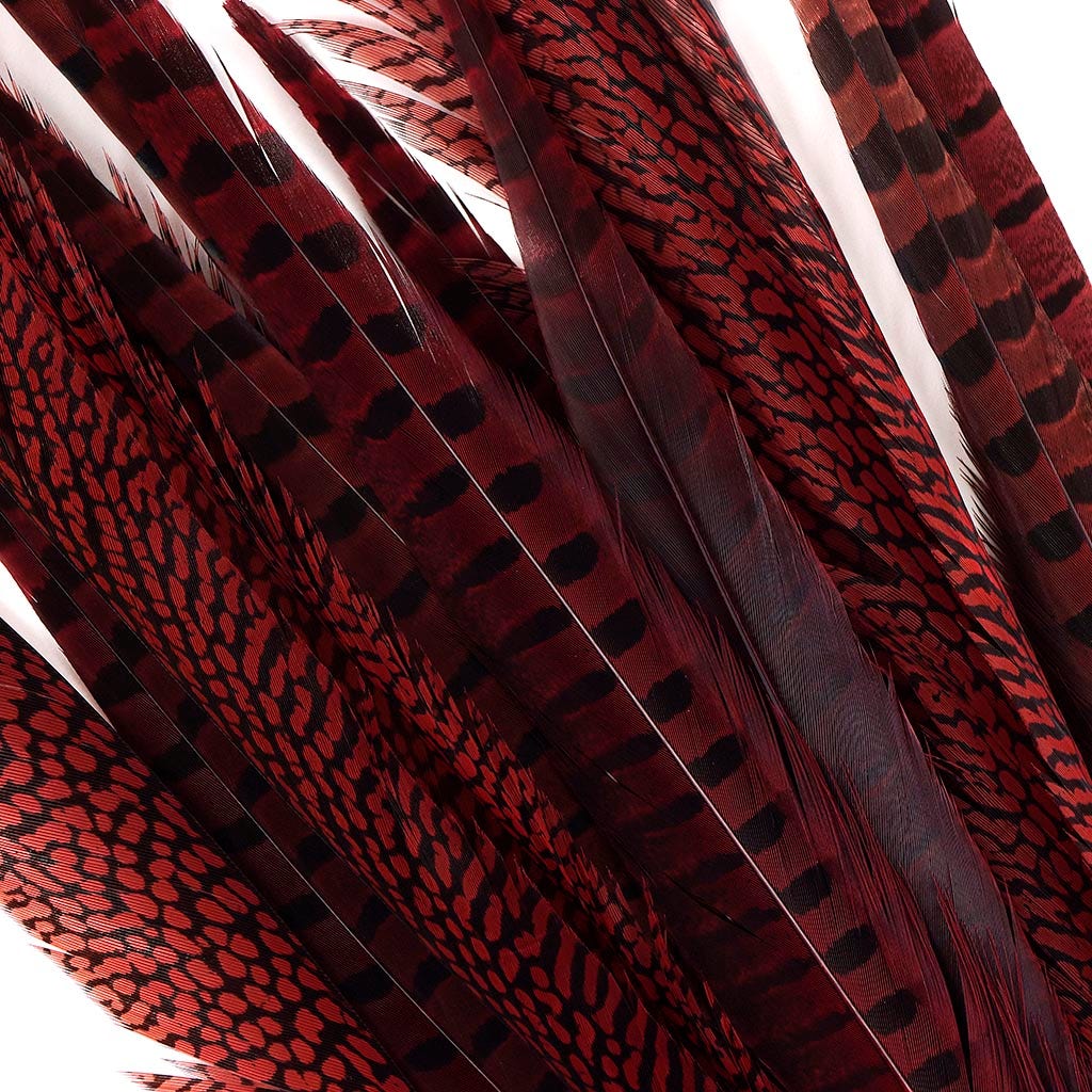 Pheasant Tails Assorted Dyed - Red