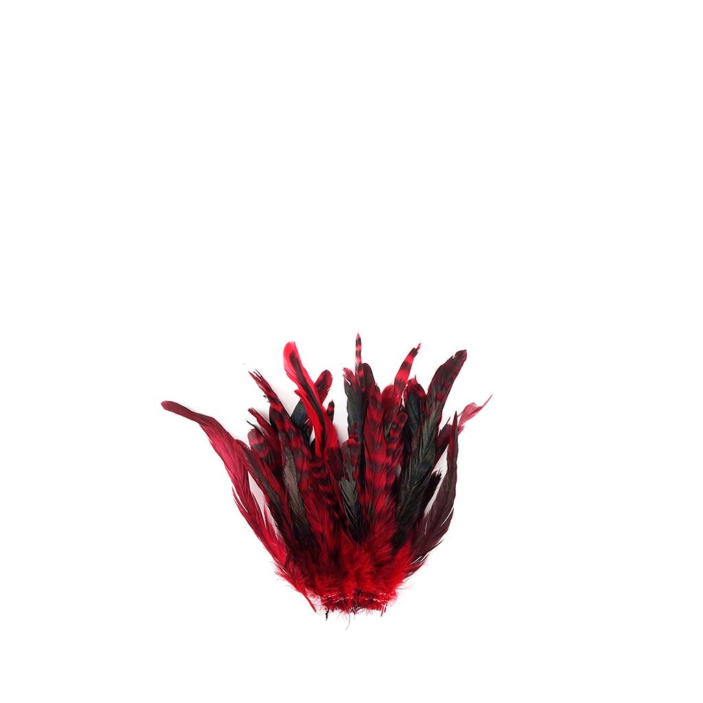 Rooster Coque Tails-Chinchilla Red