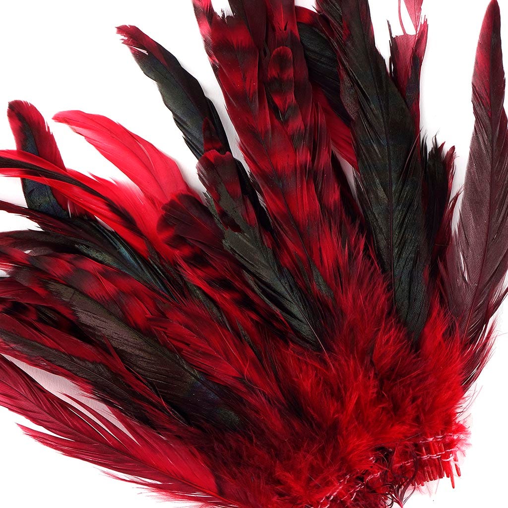 Rooster Coque Tails-Chinchilla Red