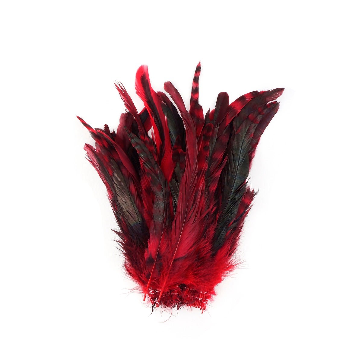 Rooster Coque Tails-Chinchilla Red