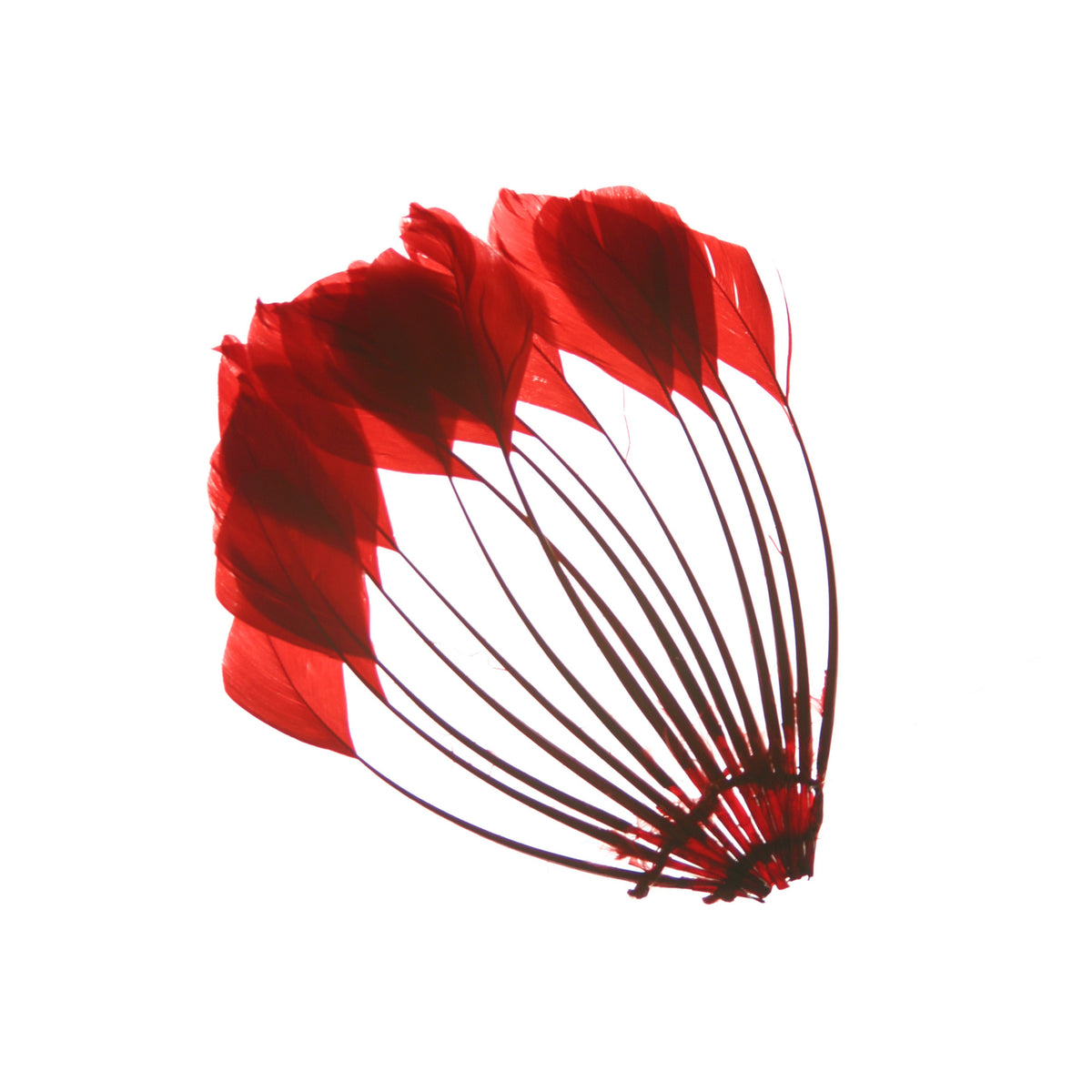 Duck Stripped Center Fan Trim - Red