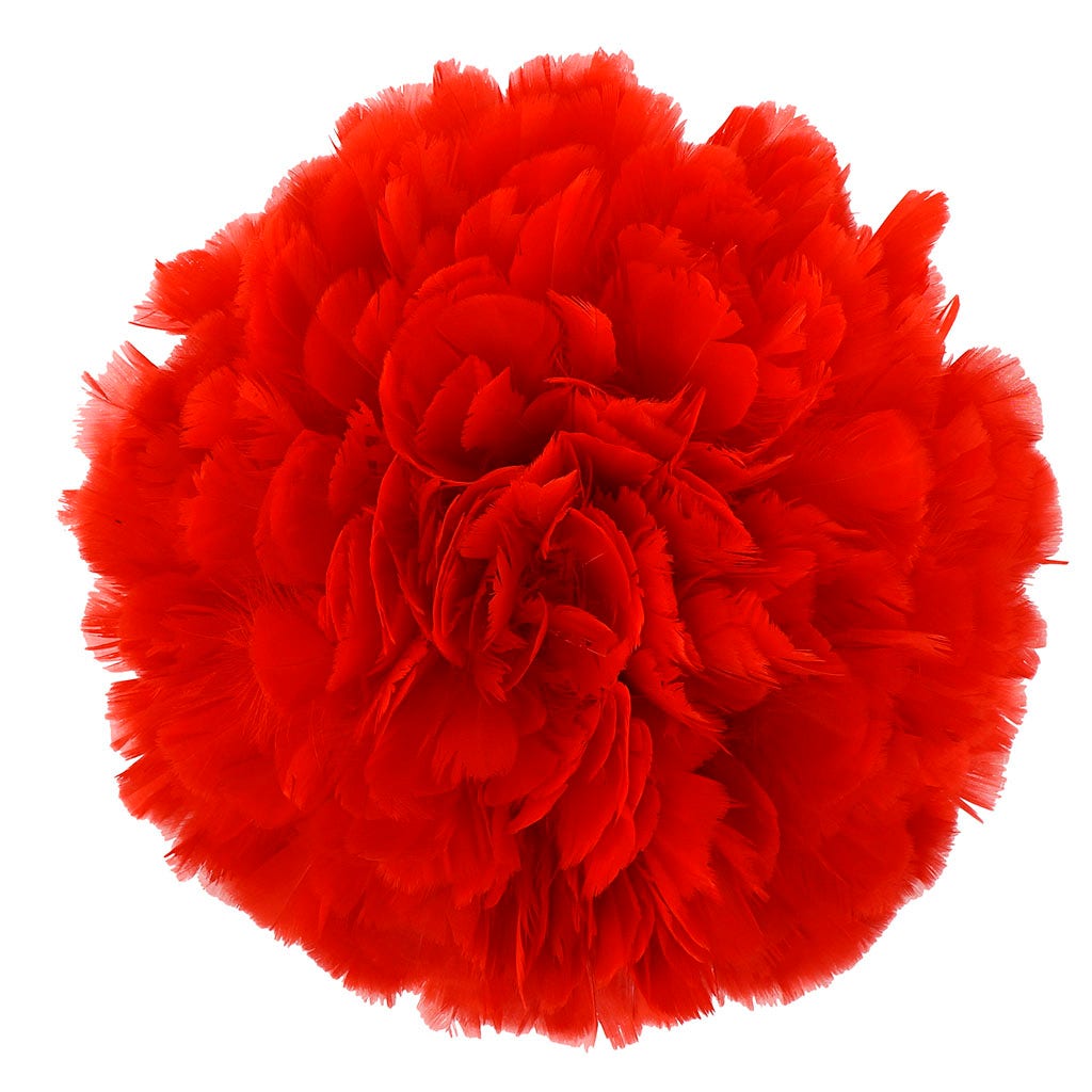 Parried Turkey Ruff Feathers - 1/2YD - Red
