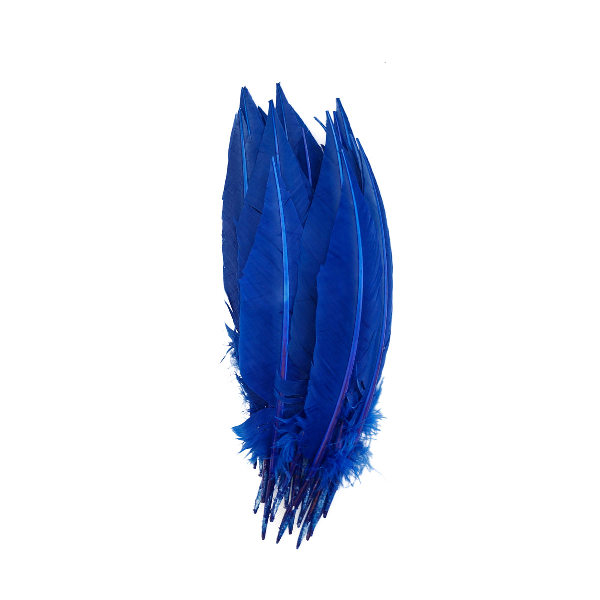 Royal Blue Dagger Turkey Quill Feathers 9-12"