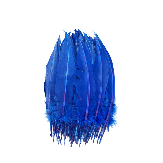 Royal Blue Dagger Turkey Quill Feathers 9-12"