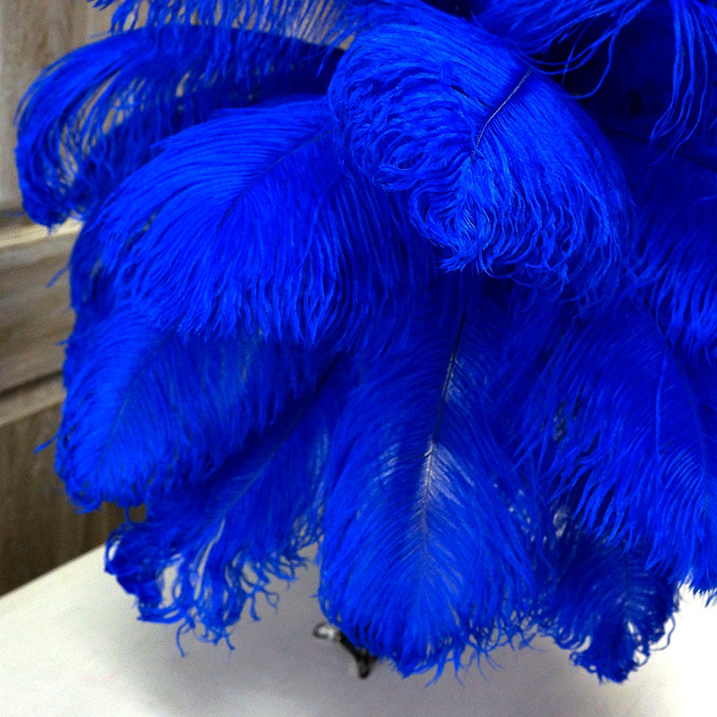 Large Ostrich Feathers - 17"+ Drabs - Royal