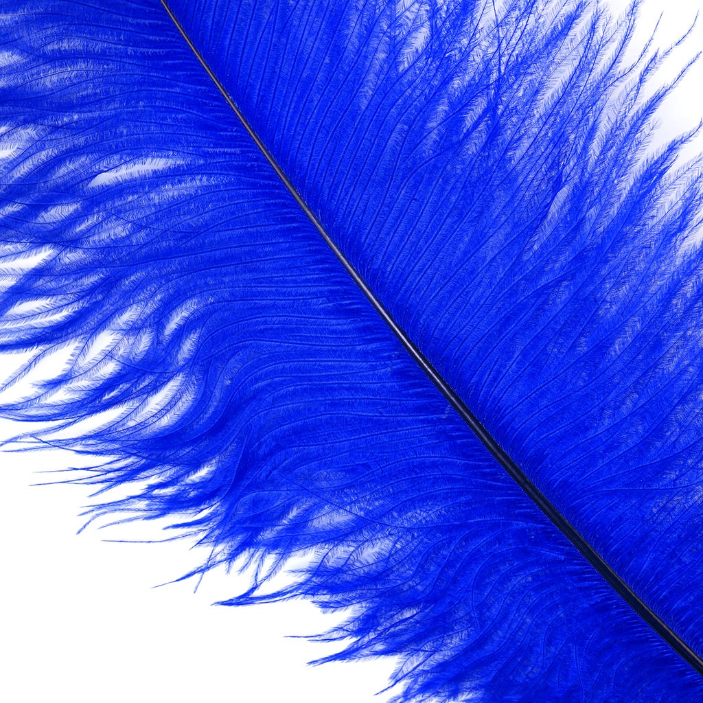 Ostrich Feathers 13-16" Drabs - Royal
