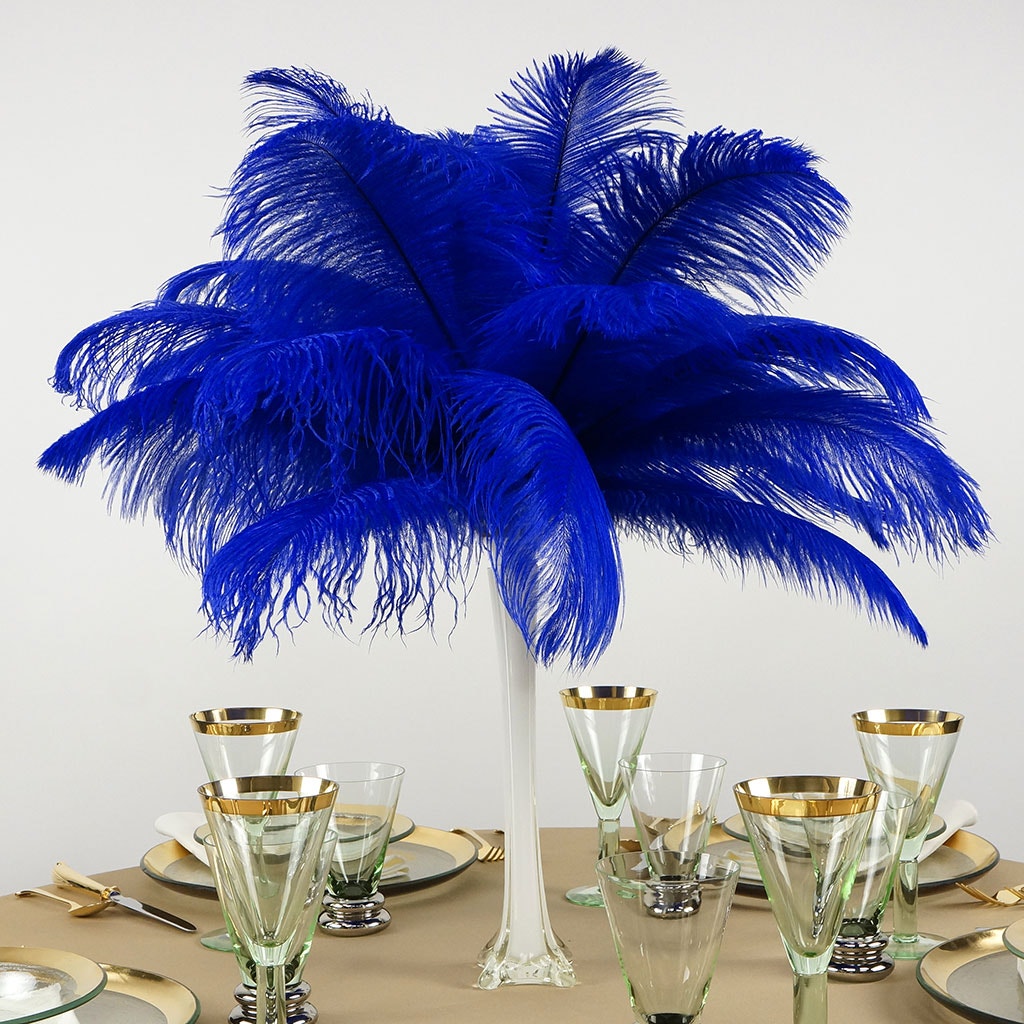 Ostrich Feathers 13-16" Drabs - Royal