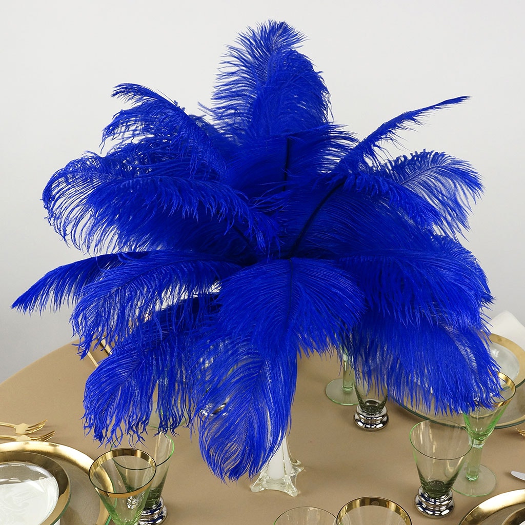 Ostrich Feathers 13-16" Drabs - Royal