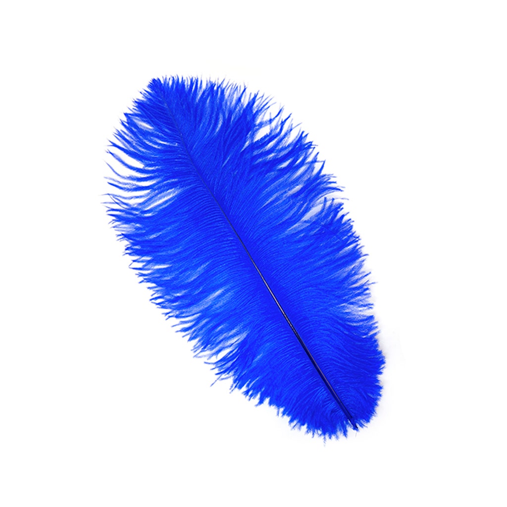 Ostrich Feathers 13-16" Drabs - Royal
